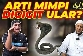 Arti Mimpi Digigit Ular Hijau Kecil